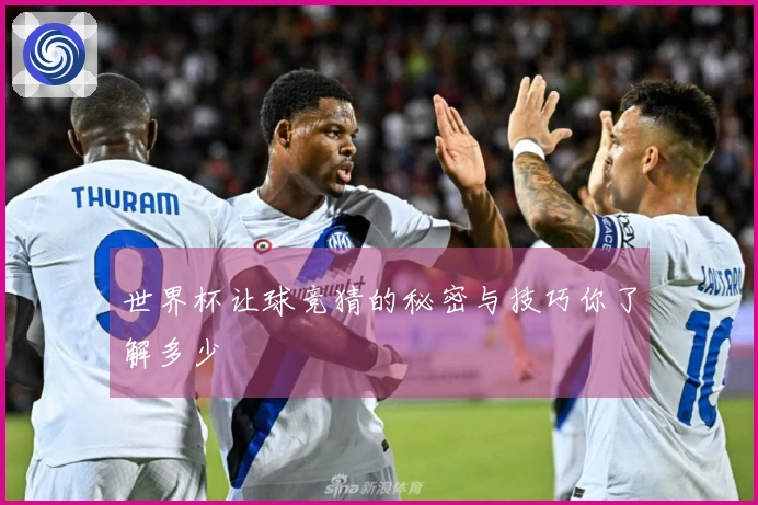 世界杯让球竞猜的秘密与技巧你了解多少