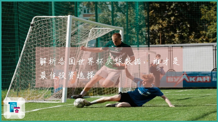 解析各国世界杯买球数据，谁才是最佳投资选择