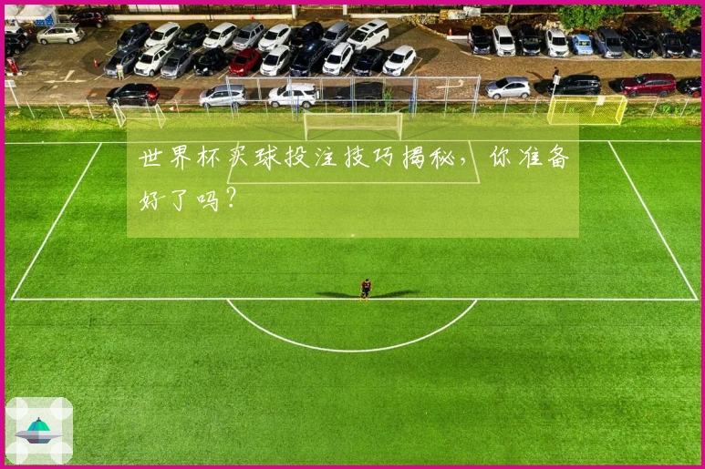 世界杯买球投注技巧揭秘，你准备好了吗？