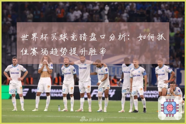 世界杯买球竞猜盘口分析：如何抓住赛场趋势提升胜率