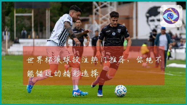 世界杯滚球投注热门推荐，你绝不能错过的精彩选择