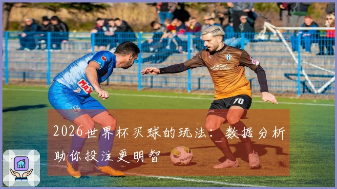 2026世界杯买球的玩法：数据分析助你投注更明智