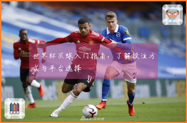 世界杯买球入门指南，了解投注方式与平台选择
