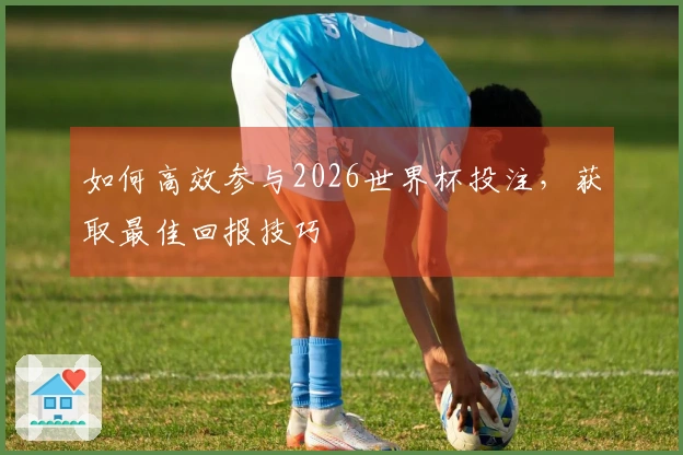 如何高效参与2026世界杯投注，获取最佳回报技巧