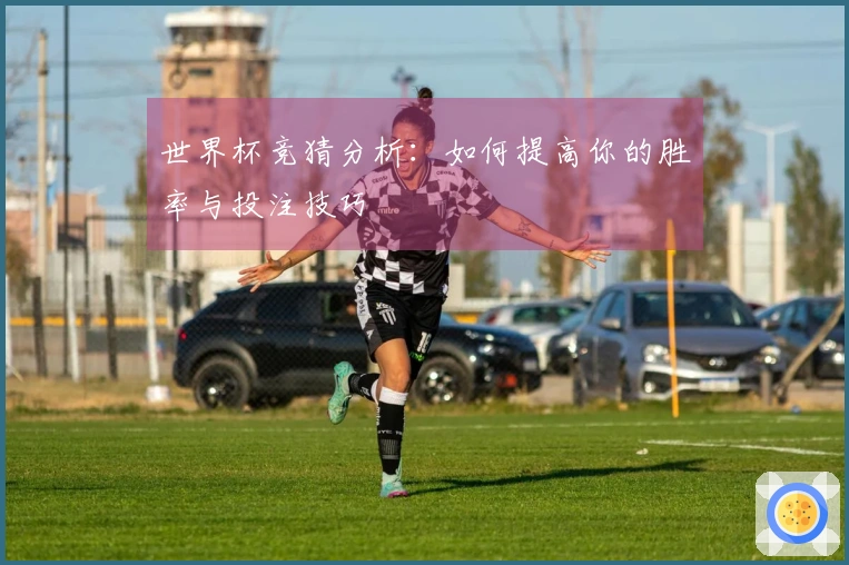 世界杯竞猜分析：如何提高你的胜率与投注技巧