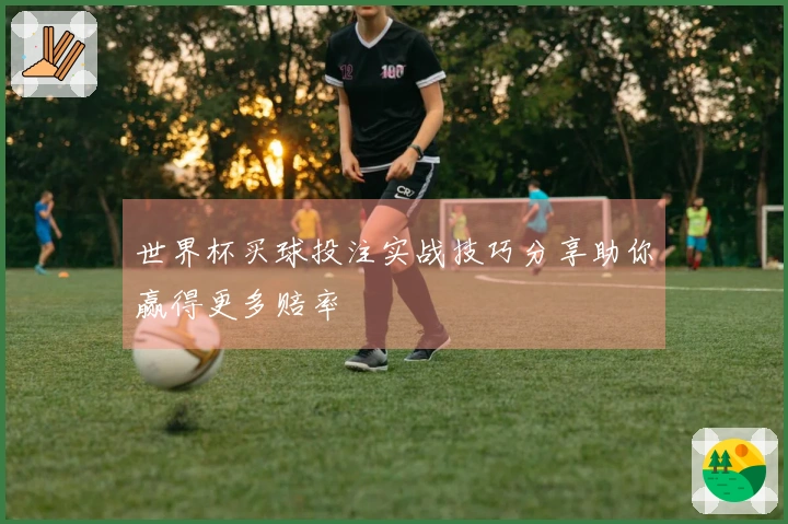 世界杯买球投注实战技巧分享助你赢得更多赔率