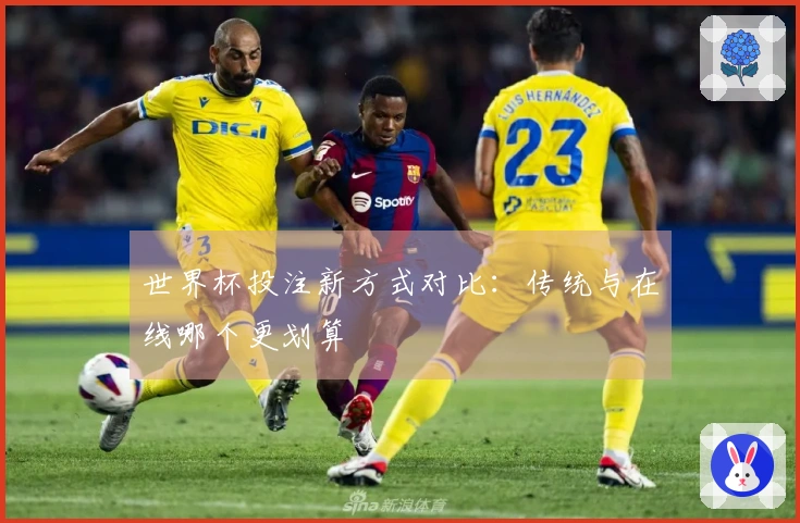 世界杯投注新方式对比：传统与在线哪个更划算
