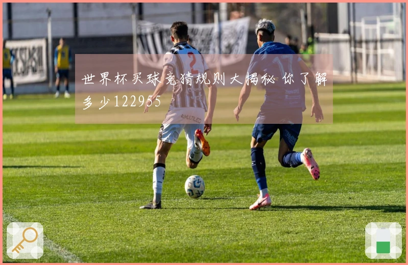 世界杯买球竞猜规则大揭秘 你了解多少122955