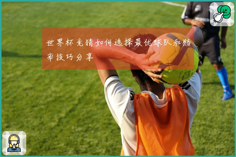 世界杯竞猜如何选择最优球队和赔率技巧分享