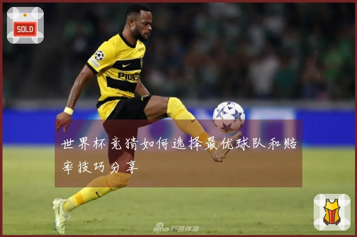 世界杯竞猜如何选择最优球队和赔率技巧分享