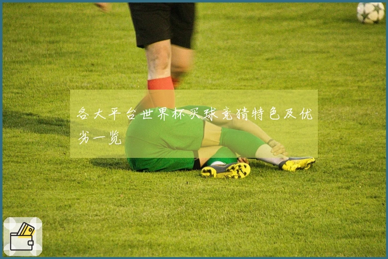 各大平台世界杯买球竞猜特色及优劣一览
