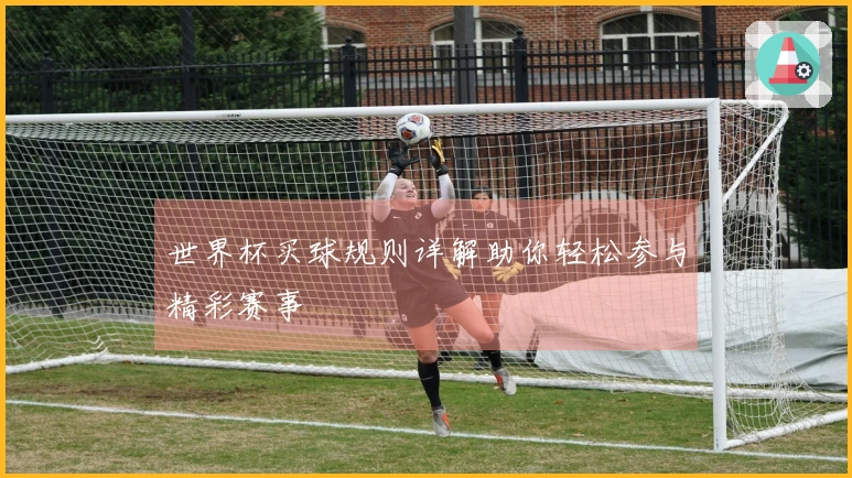 世界杯买球规则详解助你轻松参与精彩赛事